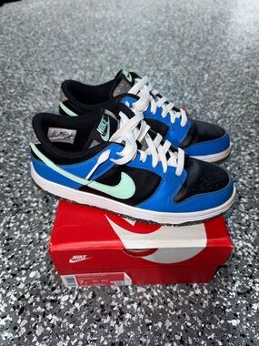 Nike dunk Low